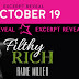 Excerpt Reveal: FILTHY RICH by Raine