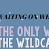 Waiting on Wednesday: WE ARE THE WILDCATS by Siobhan Vivian