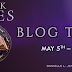Blog Tour: DARK SKIES by Danielle Jensen
