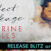 Release Blitz: PERFECT WRECKAGE by Catherine Cowles