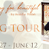 Exclusive Excerpt and Giveaway: SEARCHING FOR BEAUTIFUL by Jennifer Probst