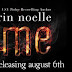 Release Day Excerpt and Giveaway: FLAME by Erin Noelle 