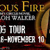 Blog Tour: FURIOUS FIRE by Shiloh Walker, Excerpt + Giveaway