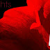 Exclusive Excerpt and Giveaway: THIRTY NIGHTS by Ani Keating 